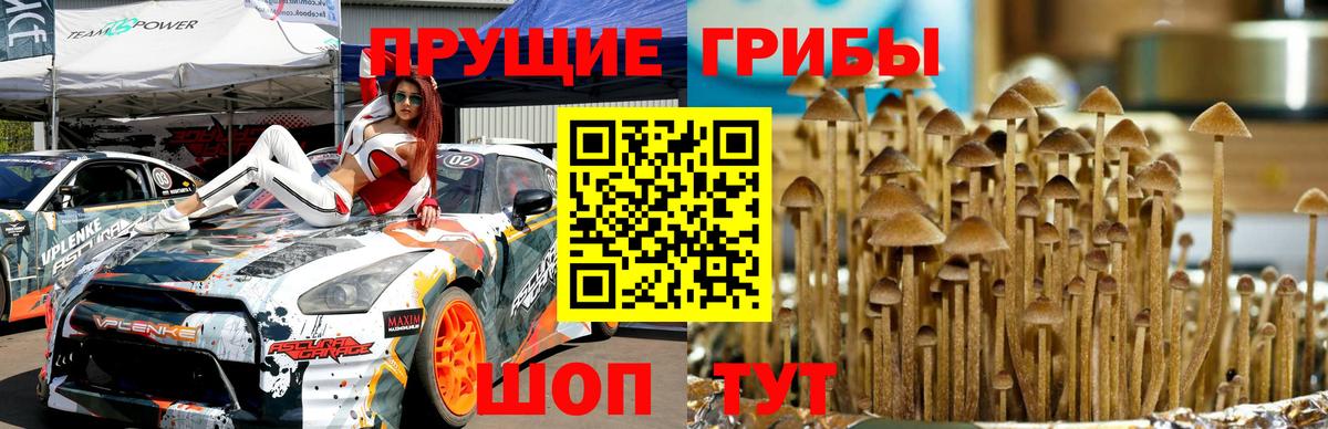 Псилоцибиновые грибы прущие грибы  где купить наркоту  Рязань  Вход с VPN 