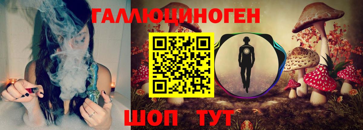Галлюциногенные грибы Psilocybe Рязань